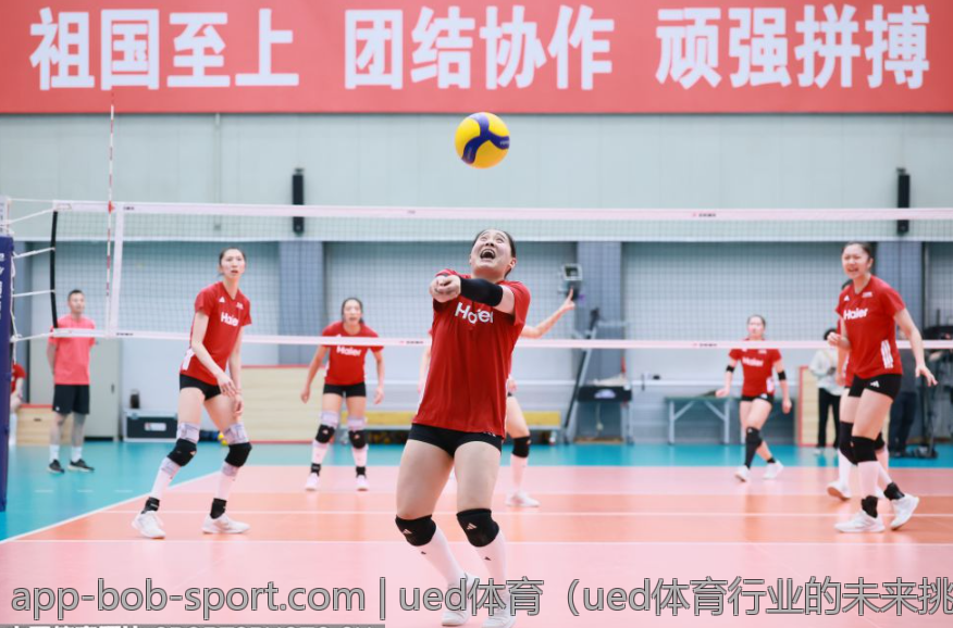 ued体育（ued体育行业的未来挑战与应对之策）